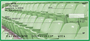 Green & White Football Team Personal Checks