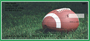 Green & White Football Team Personal Checks