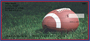 Blue & Red Football Team Personal Checks
