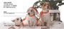 Christmas Dogs Personal Checks