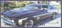 Pony Cars Personal Checks