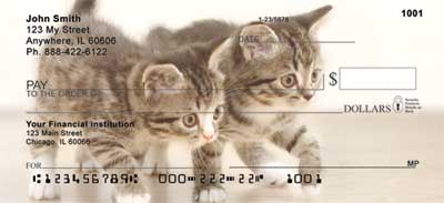 ief.  Support your local Humane Society and adopt a Cute Kitten!    