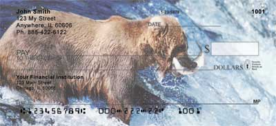 Grizzly Bears Checks
