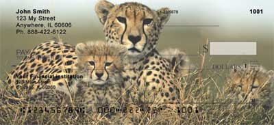  four rotating images of these little baby cats, these checks are sure to make you smile.