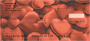 Pile of Love Personal Checks