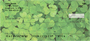 More Clovers Personal Checks