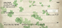 Irish Grunge Personal Checks