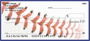 Navy Blue & White Baseball Team Personal Checks