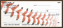 Orange & Black Baseball Team Personal Checks