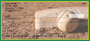 Green & Yellow Baseball Team Personal Checks
