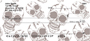 Skull Patterns Personal Checks