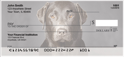 Black Labradors Personal Checks 