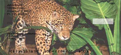 Big Cats