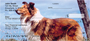 Collies Personal Checks