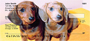 Dachshund Puppies Personal Checks