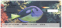Tropical Fish Top Stub Personal Checks