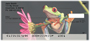 Frogs Top Stub Personal Checks