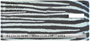 Animal Prints Top Stub Personal Checks