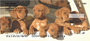 Cute Puppies Personal Checks