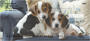 Cute Puppies Personal Checks
