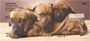 Cute Puppies Personal Checks