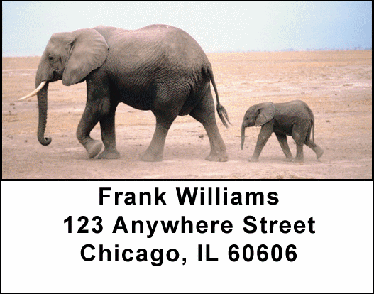 Elephants in the Wild Address Labels