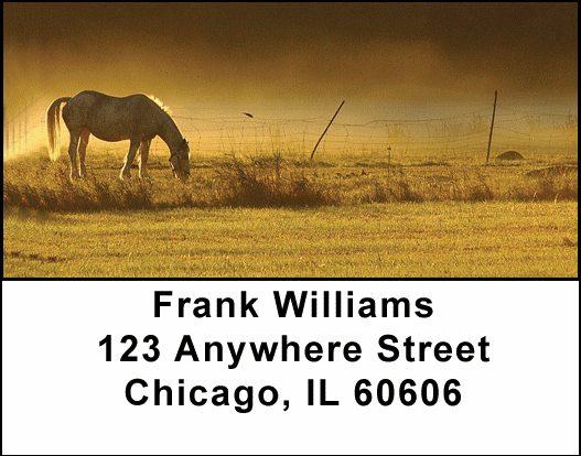 Early Morning Address Labels