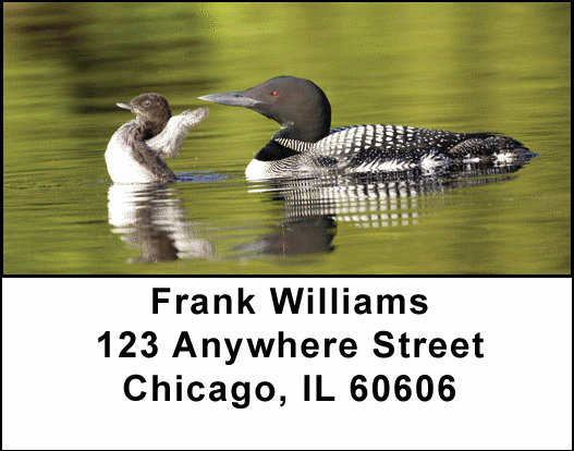 A Loon-ee Family Address Labels