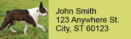 Boston Terrier Rectangle Address Labels