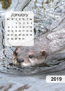 Otter-ly Adorable Easel Calendar