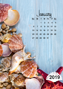 Sea Shell Easel Calendar