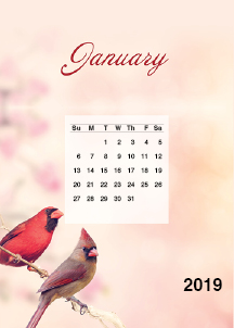 Beautiful Birds Easel Calendar