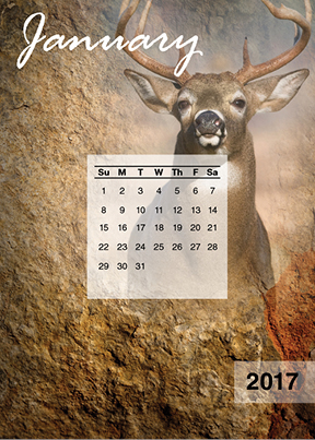 Big Horn Bucks Easel Calendar