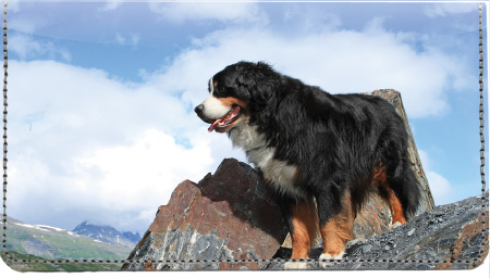 Bernese Mountain Dog Leather Cover