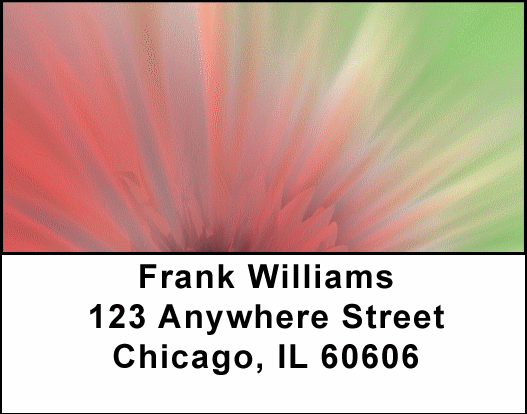 Pink Explosion Address Labels