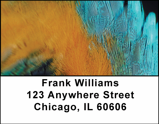 Fun Feathers Address Labels