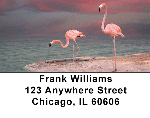 Pink Flamingo Address Labels