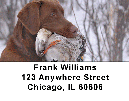 Labradors At Work Address Labels