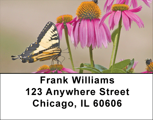 Brown Eyed Susans With Butterfly Address Labels