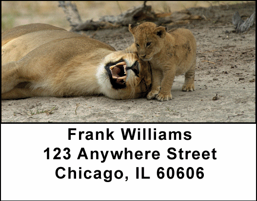 The Jungle Royals Address Labels