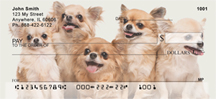 Chihuahuas Personal Checks