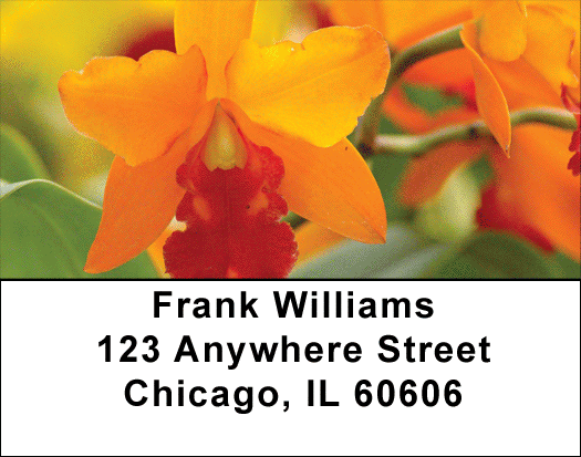 Tropical Orchids Address Labels