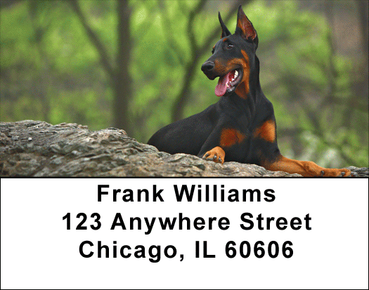 Alert and Watching Address Labels