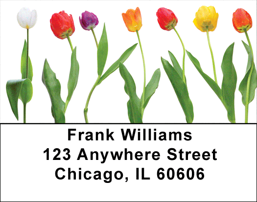 Spring Line Up Address Labels