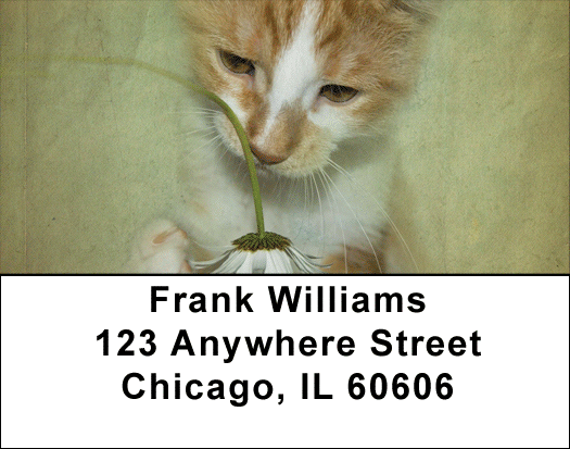 Flowers & Cats Address Labels