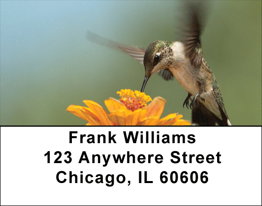 Out For A Spin Address Labels