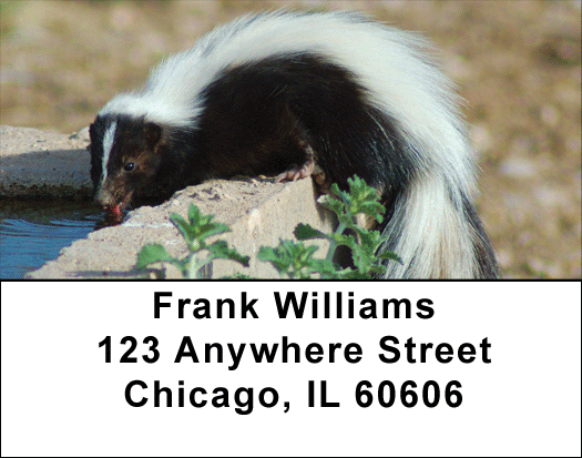 Skunk Address Labels