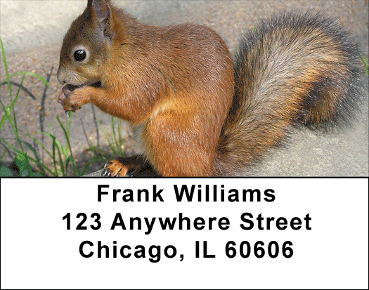 Doing What I Do Best Address Labels
