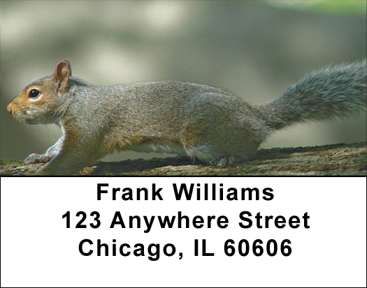 Squirrel Antics Address Labels