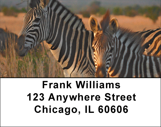 Zebras At Sunset Address Labels